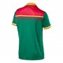 Cameroon Home Soccer Jersey 2017 Africa Cup