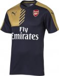 Arsenal Training Shirt 2015-16 Golden-Navy
