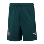 Italy Third Away Green Soccer Jerseys Kit(Shirt+Short) 19/20