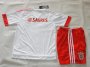 Kids Benfica Away Soccer Kit 2015-16(Shirt+Shorts)
