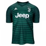 Juventus Goalkeeper Soccer Jersey 2018/19 Green