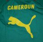 Cameroon Green Training Suit 2014