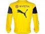 Borussia Dortmund 14/15 Yellow Sweatshirt
