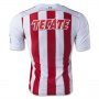 Chivas Guadalajara 2014-2015 Home Soccer Jersey