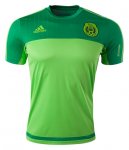 Mexico Training Shirt 2015 Green
