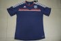 13-14 Olympique Lyonnais Away Navy Jersey Shirt