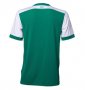 Werder Bremen Home Soccer Jersey 2015-16