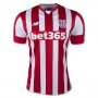 Stoke City Home Soccer Jersey 2015-16 IRELAND #7