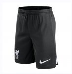 Liverpool Away Soccer Shorts 2023/24