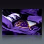 Orlando City SC Home Soccer Jersey 2015