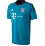 13-14 Bayern Munich Goalkeeper Blue Jersey Shirt