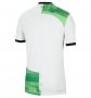 Liverpool Authentic Away Soccer Jerseys 2023/24