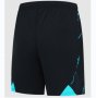 Manchester City Third Soccer Shorts 2023/24