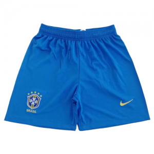 2019 World Cup Brazil Home Blue Women\'s Jerseys Short