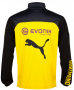 Borussia Dortmund Presentation Jacket Yellow 2014-15