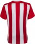 Southampton Home Soccer Jersey 2015/16