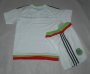 Kids Mexico Away Soccer Kit 2015 (Shorts+Shirt)