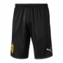 Borussia Dortmund 19/20 Away Black Soccer Jerseys Kit(Shirt+Short)