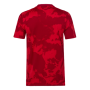 Bayern Munich 19-20 Red Training Shirt