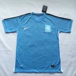 France Light Blue Training Shirt 2015-16