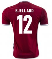 Denmark Euro Home Soccer Jersey 2016 BJELLAND #12