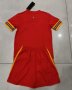 Children Wales Home Soccer Suits 2020 EURO Shirt and Shorts