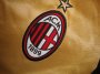 13-14 AC Milan Away Golden Jersey Kit(Shirt+Short)