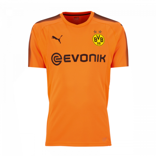 Borussia Dortmund Goalkeeper Soccer Jersey 2017/18 Orange